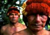 Cambio climático y disputa por el territorio: Los pueblos indígenas frente al modelo extractivista depredador