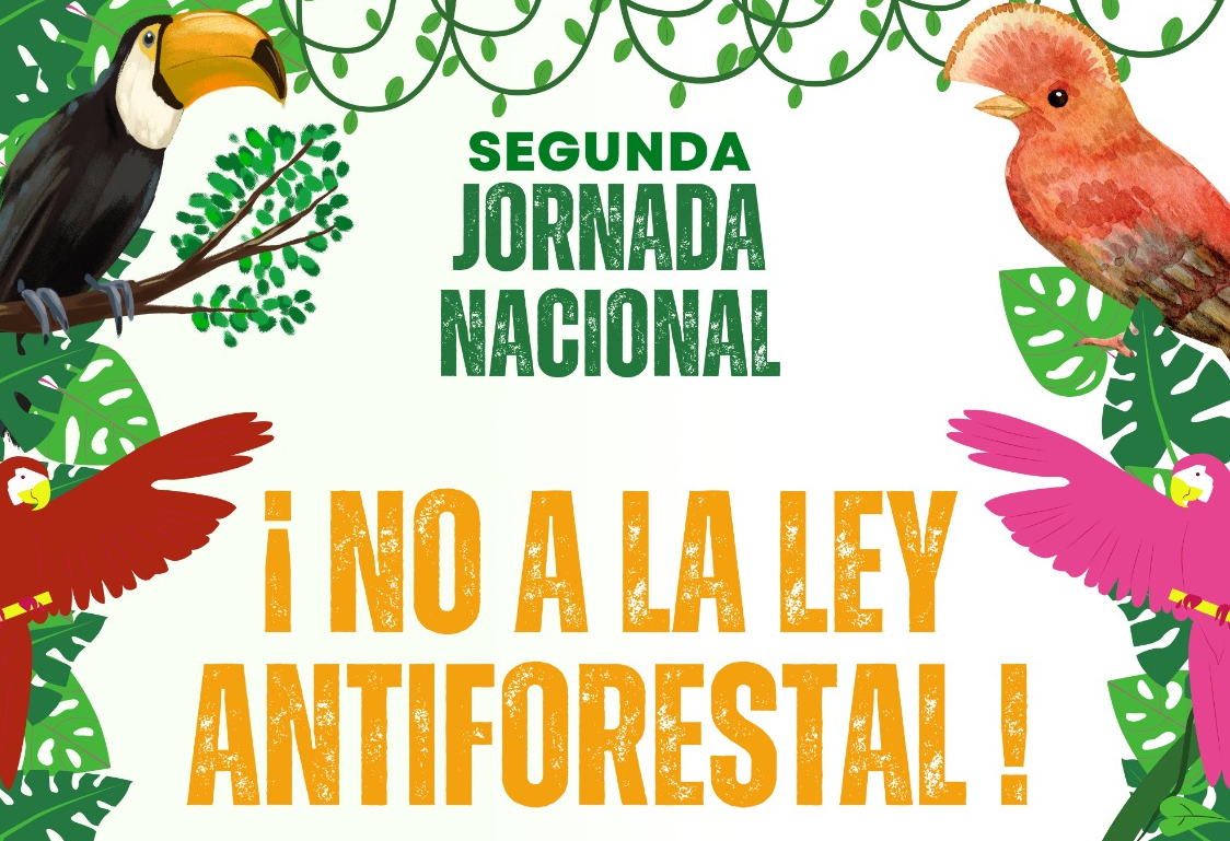Se anuncia movilización nacional contra la Ley Antiforestal